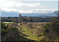 Speyside Way leaving Nethy Bridge