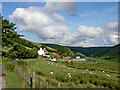 Pasture in Cwm Doethie Fawr, Ceredigion