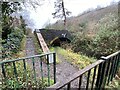 SN8101 : Towpath and canal bridge by Alan Hughes