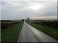 SE8646 : Looking  back  down  Londesborough  Hill by Martin Dawes