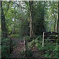 Elmdon Coppice: entrance from Damson Parkway