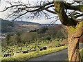 View from Treorchy Cemetery