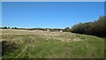 Field near Hold Farm