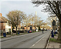 Pale winter sunlight, Perne Road