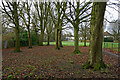 Bradmore Recreation Ground in Penn Fields, Wolverhampton