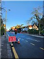 Temporary traffic lights in Finchley Road