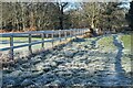 Frosty path past The Castle at Cranbury Park