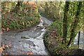 Narrow Devon lane