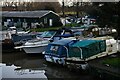 Yalding, River Medway Basin: Boats