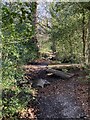 Footbridges on bridleway 47