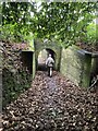 Carriage-drive bridge over footpath 27