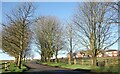 Road at Little Tottingworth Farm