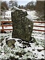 Eagle Stone - Strathpeffer