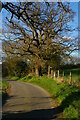 Footpath off Benhall Low Street