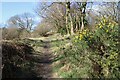 Path, Allander Park