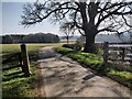 Thornby Road towards Cottesbrooke Park