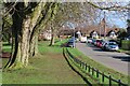 Road beside Abbey Park