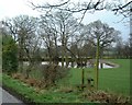 Pool off Pools Platt Lane, Antrobus