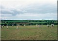 Merry Maidens Stone Circle