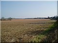 Open farmland, east of Kidderminster.