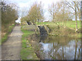 Lock staircase on the Hollinwood Branch Canal in Daisy Nook Country Park