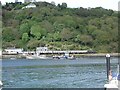 SX8752 : Dartmouth Higher Ferry and Torbay Railway train by David Stowell