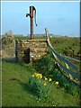 Mans Well, Birsay, Orkney