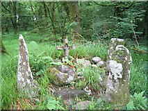 W2076 : Ogham stones near Baile Mhic Ãre (Ballymakeery) by Tom Pullman