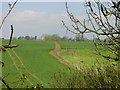 Footpath from Hearts Delight to Borden church