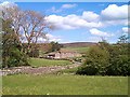 Aller Gill, Weardale, Co. Durham