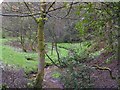 Boggart Hole Clough Brook