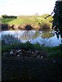 The old Severn Ferry Crossing at the Rhydd