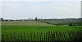 Orchards below Penfield Lane