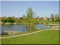 Pond incorporated into housing development