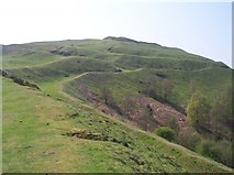SO7640 : Herefordshire Beacon Iron Age Hillfort and Norman Motte by Bob Embleton