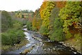 NY7959 : River Allen, taken from the Cupola Bridge at Whitfield by Ann Hodgson