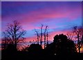 TQ1577 : Sunset over Osterley - Xmas Day 2002 by pete traill