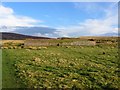 Old Football ground, Muirkirk