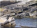 HU4524 : Sedimentary Rocks, North Isle, Mousa by Bob Embleton