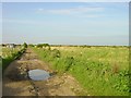 Track to Elmley Ferry