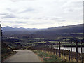 The view looking west from Borlum Hill