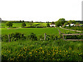 Pangfield Farm near Bucklebury