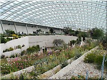 SN5218 : Greenhouse, National Botanic Gardens for Wales by Chris J Dixon