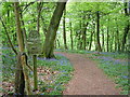 Entrance to Lower Deans Wood