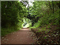 Trackbed of Welwyn to Hertford railway line