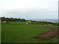 Fields to the sea, Anglesey