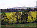 Oathlaw from the A90