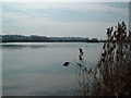 SU8887 : Lake near Little Marlow by Jonathan Dew