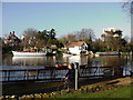 River Thames near Canbury Gardens