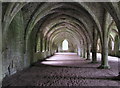 SE2768 : Inside Fountains Abbey by Andy Beecroft